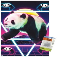 Джеймс Букър - Плакат за стена Panda Rave With Pushpins, 14.725 22.375