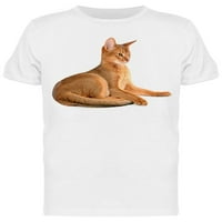 Сладка котка, която тениска от задните му крака-изображения от тениска на Shutterstock Men, мъжки 3x-големи