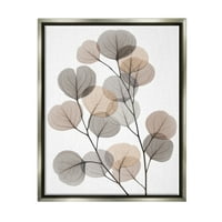 Ступел индустрии модерни евкалиптови листа стъбла полупрозрачни кафяви сиви листа блясък сив рамка плаващо платно стена изкуство, 16х20