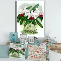 Дизайнарт' Бяла Реколта Орхидея Цвете И ' Традиционна Рамка Платно Стена Арт Принт