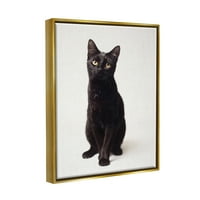 Ступел индустрии Сладък черна котка изразителни очи домашен любимец портрет металик злато рамкирани плаващо платно стена изкуство,