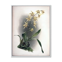 Дизайнарт 'Древна Орхидея Цвете' Традиционна Рамка Платно Стена Арт Принт