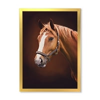 Портрет на кафяв кон с бял нос