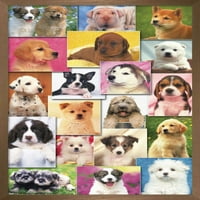 Кийт Кимбърлин - Плакат за стенни кученца, 22.375 34