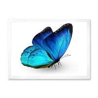 Дизайнарт 'Близък План На Жива Синя Пеперуда Върху Бяло' Модерен Арт Принт В Рамка