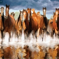 Стенски плакат за коне с бутални щифтове, 22.375 34