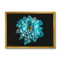 Дизайнарт 'в близост до цвете с бели и сини венчелистчета' традиционна рамка Арт Принт