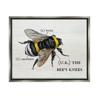 Ступел индустрии Анатомия на медоносната пчела игра на думи Очарователен пчелни колене блясък сив рамка плаващо платно стена изкуство,