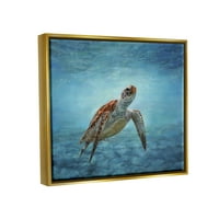 Ступел индустрии морска костенурка подводна морска сцена Дълбоко океанска вода Живопис металик злато плаваща рамка платно печат стена изкуство, дизайн от Дейвид ?