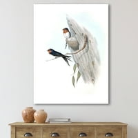 Древни австралийски птици илюстрации и живопис платно Арт Принт