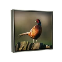 Ступел индустрии Светещи фазан птица стои гора природа природа пейзаж снимка блясък сив плаваща рамка платно печат стена изкуство,