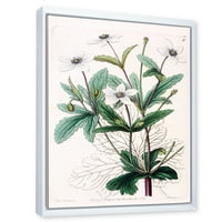 Дизайнарт' Древен растителен живот Хси ' традиционна рамка платно стена арт принт