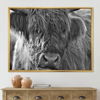 Затвори Шотландски Планински Крави, Живеещи На Тресавище Рамкирани Живопис Платно Изкуство Печат