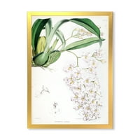 Дизайнарт' древна бяла орхидея ' традиционна оформена рамка