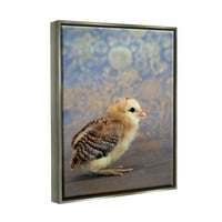 Ступел индустрии малки бебе птица пиле шарени ботанически фон снимка блясък сив плаваща рамка платно печат стена изкуство, дизайн